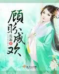《顾盼成欢》小说封面