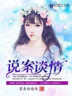《说案谈情》小说封面