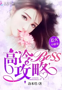 《惹火小甜妻：高冷Boss攻略》小说封面