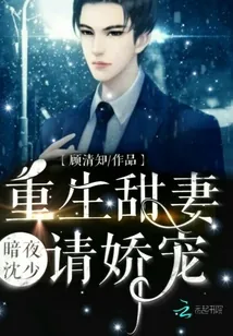 《宠妻36计：沈先生，轻点撩！》小说封面