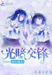 《虚幻现实：光暗交锋》小说封面
