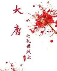 《大唐之乱世风云》小说封面