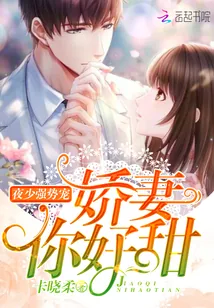 《夜少强势宠：娇妻，你好甜！》小说封面