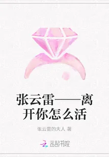 《张云雷——离开你怎么活》小说封面