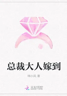 《总裁大人嫁到》小说封面