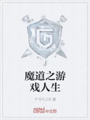 《魔道之游戏人生》小说封面
