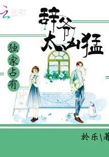 《独家占有：辞爷太凶猛》小说封面