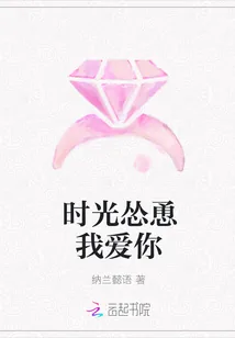 《时光怂恿我爱你》小说封面