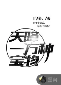 《天降一万种宝物》小说封面