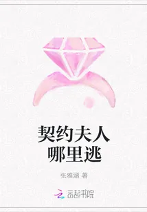 《契约夫人哪里逃》小说封面