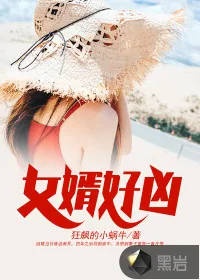 《女婿好凶》小说封面