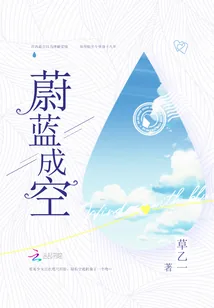 《蔚蓝成空》小说封面