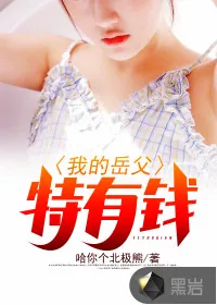 《我的岳父特有实力》小说封面