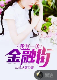 《我有一条金融街》小说封面