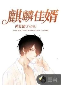 《麒麟佳婿》小说封面