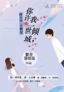 《你许我一世倾城我许你一生繁花》小说封面
