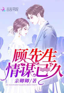 《顾先生情谋已久》小说封面