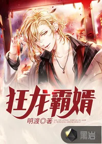 《狂龙霸婿》小说封面