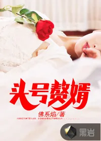 《头号赘婿》小说封面