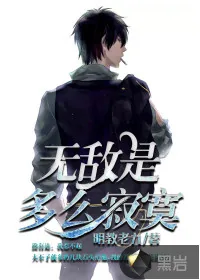 《无敌是多么寂寞》小说封面