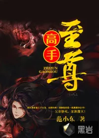 《至尊高手》小说封面
