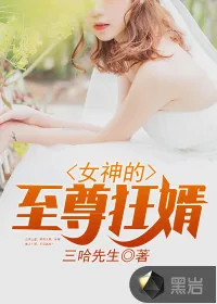 《女神的至尊狂婿》小说封面