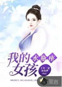 《我的水瓶座女孩》小说封面