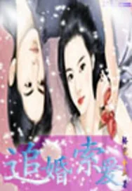 《追婚索爱》小说封面
