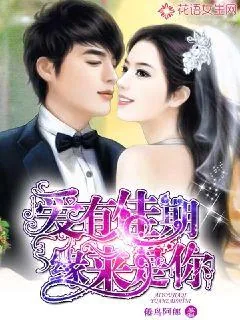 《爱有佳期，缘来是你》小说封面