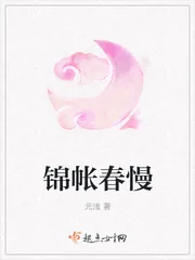 《锦帐春慢》小说封面