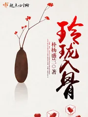 《玲珑入骨》小说封面