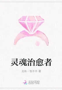 《灵魂治愈者》小说封面