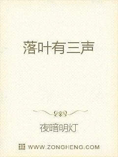 《落叶有三声》小说封面