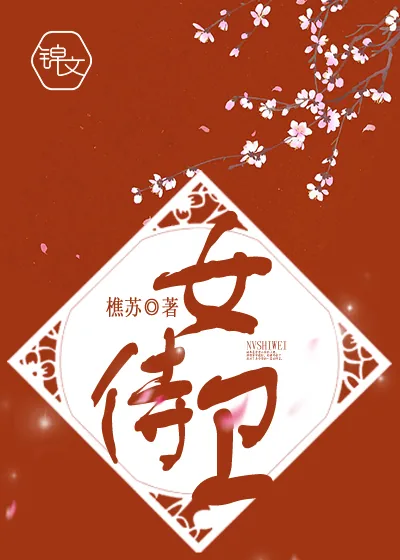 《女侍卫》小说封面