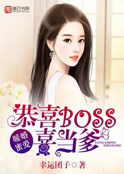 《暖婚蜜爱：恭喜BOSS喜当爹》小说封面