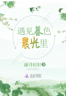 《遇见暮色晨光里》小说封面