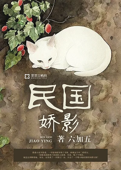 《民国娇影》小说封面