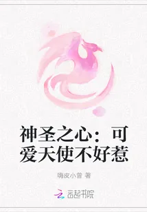 《神圣之心：可爱天使不好惹》小说封面