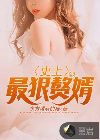 《史上最狠赘婿》小说封面