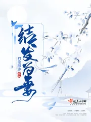 《结发为妻》小说封面