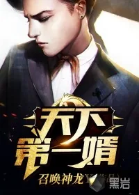 《天下第一婿》小说封面