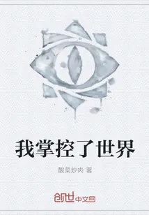 《我掌控了世界》小说封面