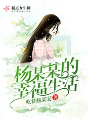 《杨某某的幸福生活》小说封面