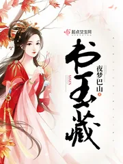 《书玉藏》小说封面