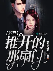 《苏惟推开的那扇门》小说封面