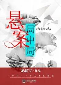《悬案局中局》小说封面