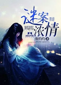 《谜案浓情》小说封面