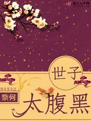 《奈何世子太腹黑》小说封面