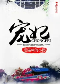 《宠妃》小说封面