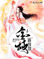 《金枝路漫漫》小说封面
